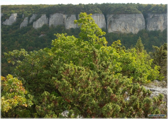 Крым. Змеиная балка. Терень-Джалга.