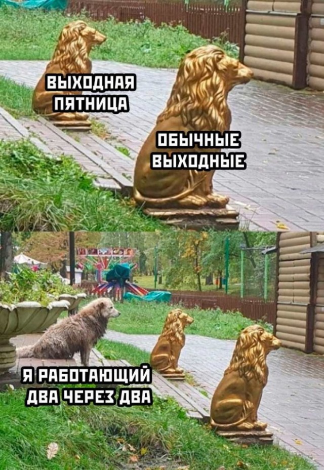 Немного картинок для настроения - 112