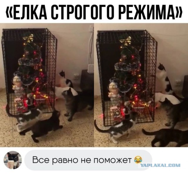 Улыбаццца! нннадо!..)