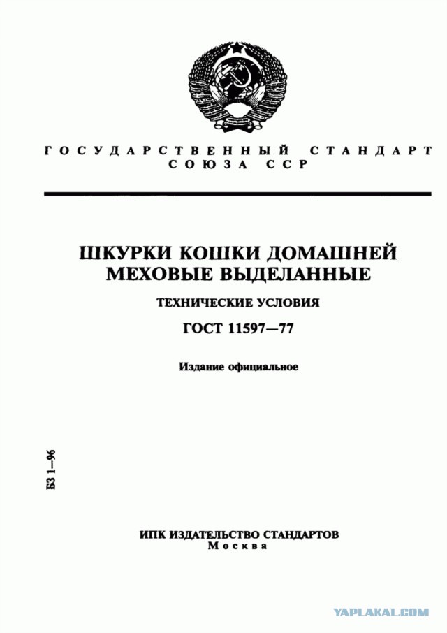 Глава совета ветеранов Читы предложил шить шапки из бездомных собак