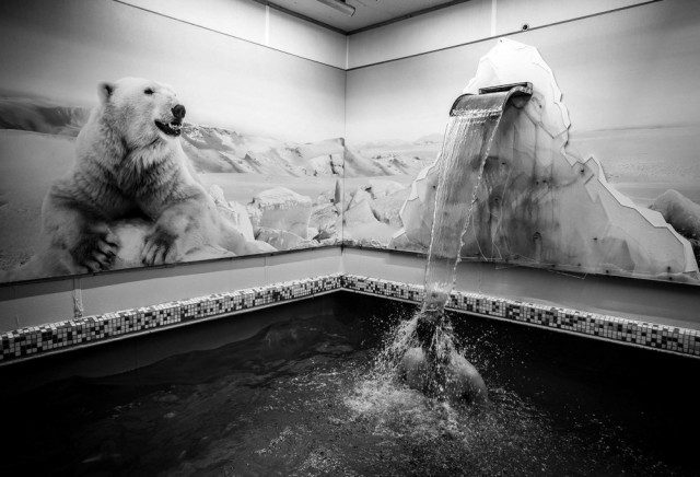 Фотографии из прошлого нашей страны - 27