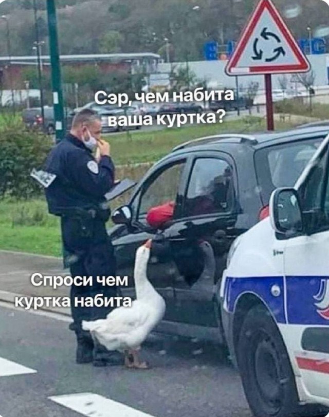 Нуштош 18.08.2023