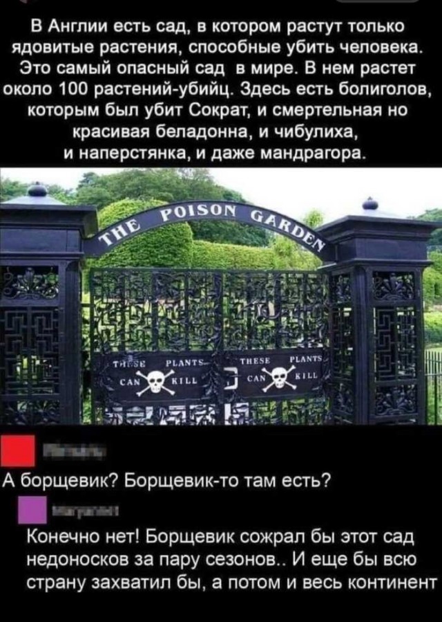 Так себе картинки 02.09.23