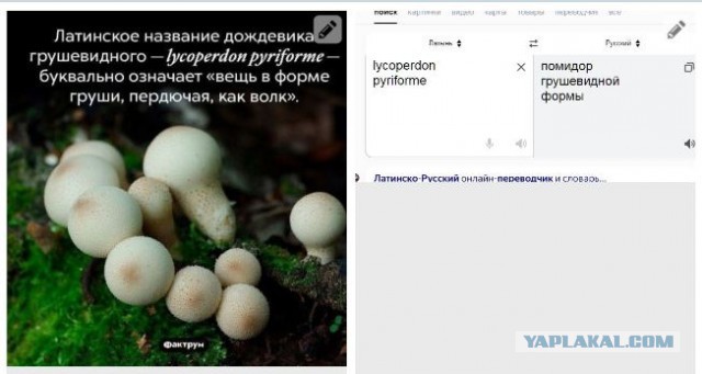Всего понемногу. От 1.11.23