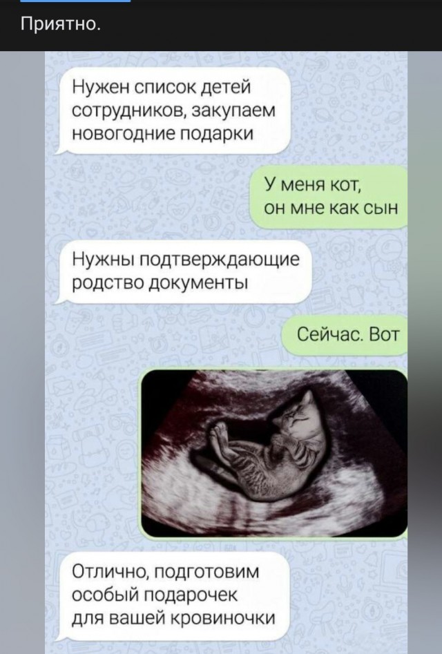 Ну вот. Я бомж