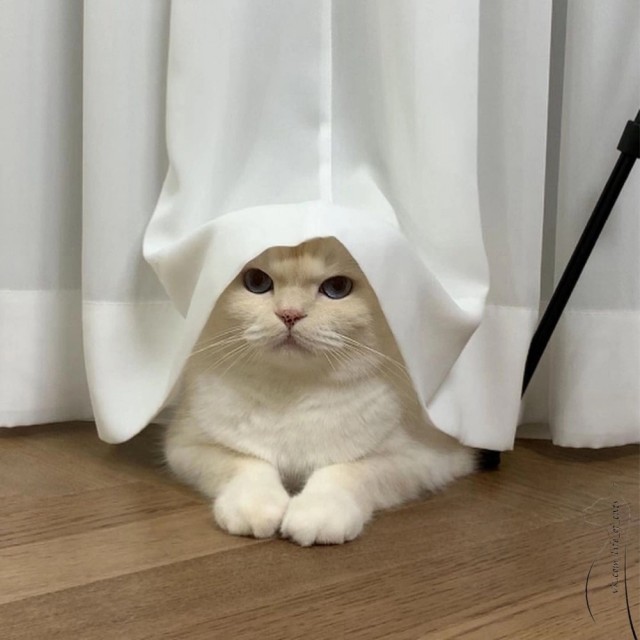 Тлидцать тли пятничные