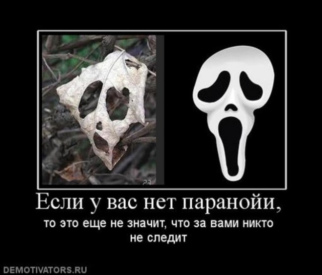Космические грибы. Конкурс рассказов