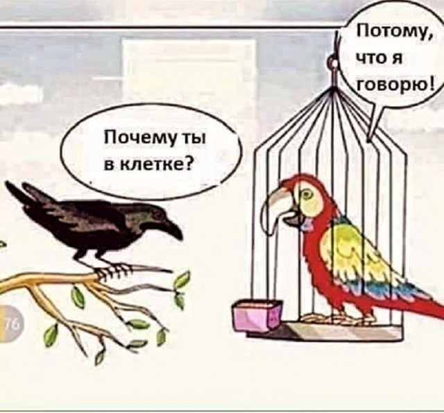 Картинки разные с надписями и без