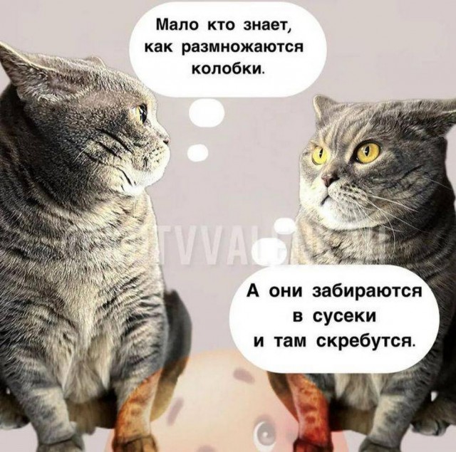 Я тебе еще пригожусь!