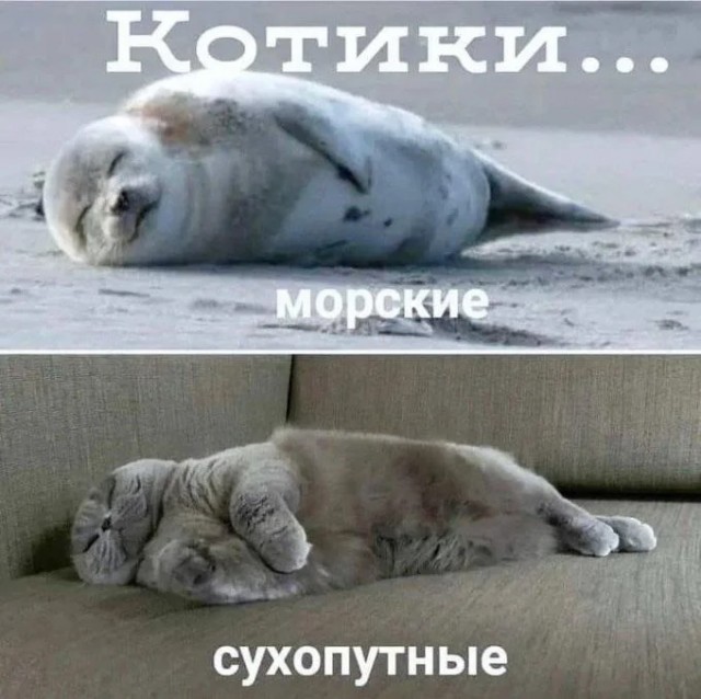 Выходите на первой же остановке