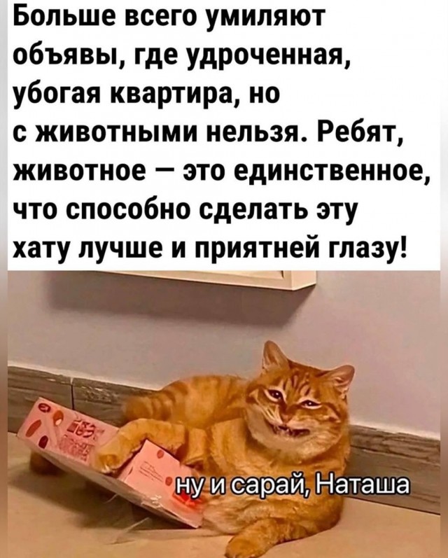 Завалялось тут случайно немного забавных картинок