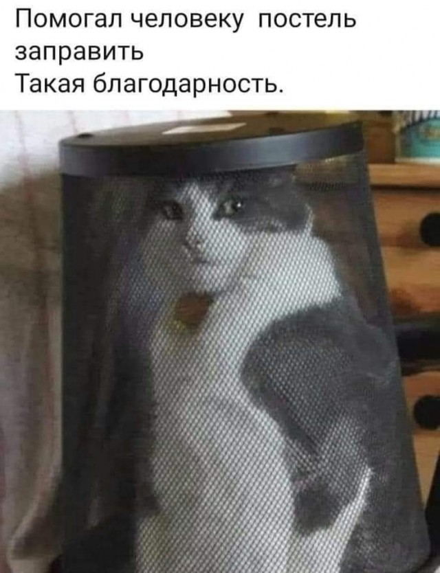 Пятничное улыбательное.