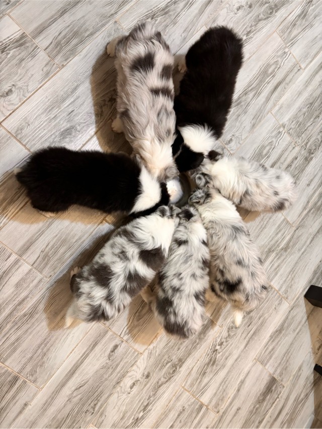 Другое дело