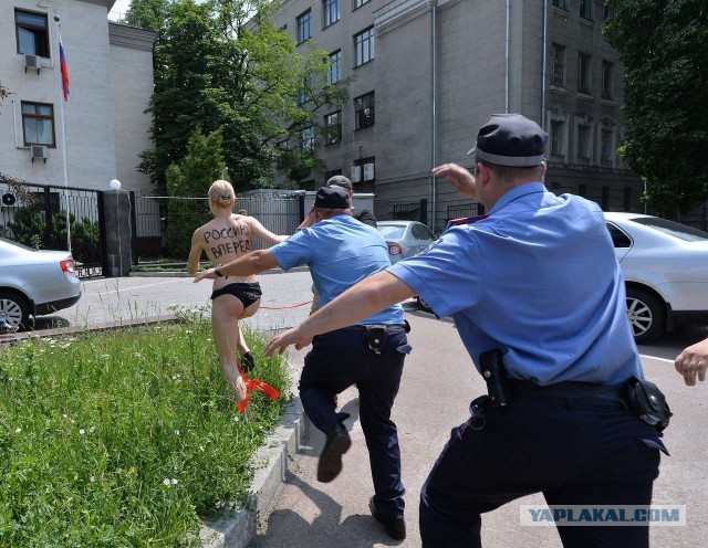 Девушка в чёрных трусах пришла свататься к Путину.