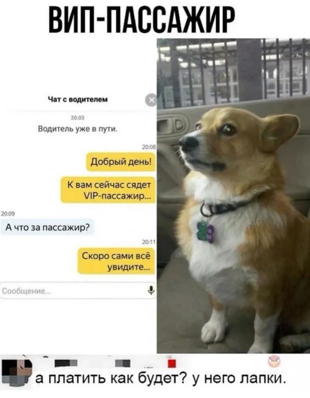 Завалялось тут случайно немного забавных картинок