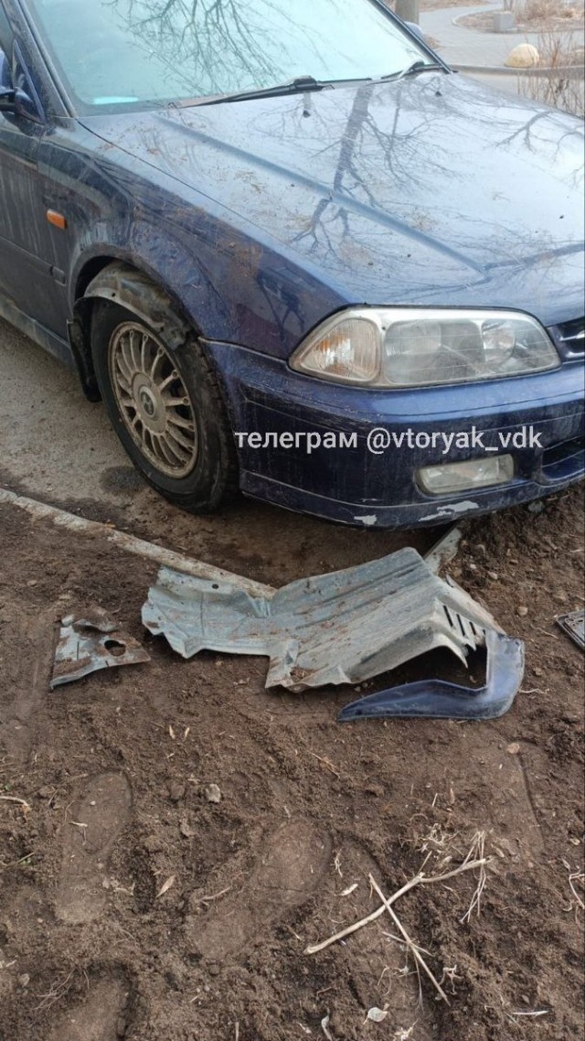 Бродячие собаки разбирают автомобили на куски во Владивостоке