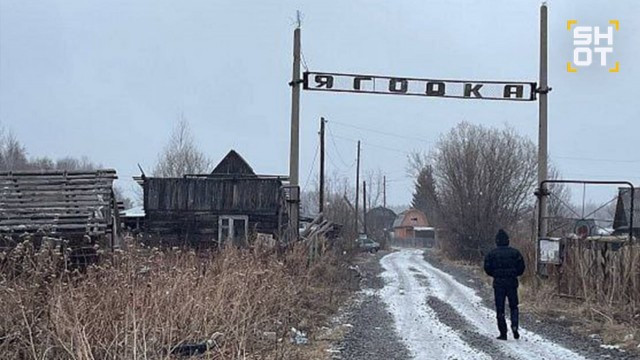 Женскую голову нашли в лесу в Свердловской области. На ней были следы укусов крупного животного.