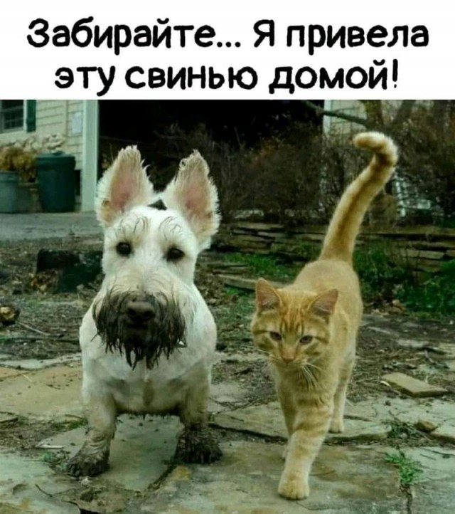 Прикольные и просто красивые картинки 16.05.2025