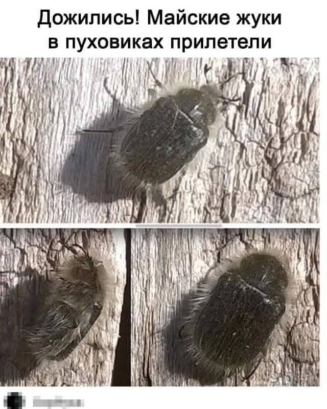 Завалялось тут случайно немного забавных картинок