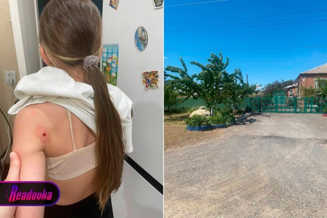 Ростовский дед так яростно защищал свою черешню, что обстрелял 13-летних школьниц, которые на нее покусились