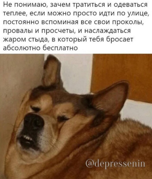 Юмор для тех, кто уже повзрослел и понял, что счета приходят быстрее, чем зарплата