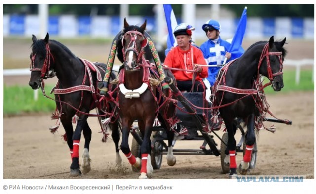 Дегтярев поддержал предложение создать федерацию русской тройки