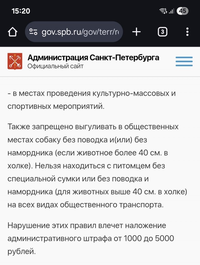 Жительницу Петербурга избили из-за того, что она выгуливала корги без поводка