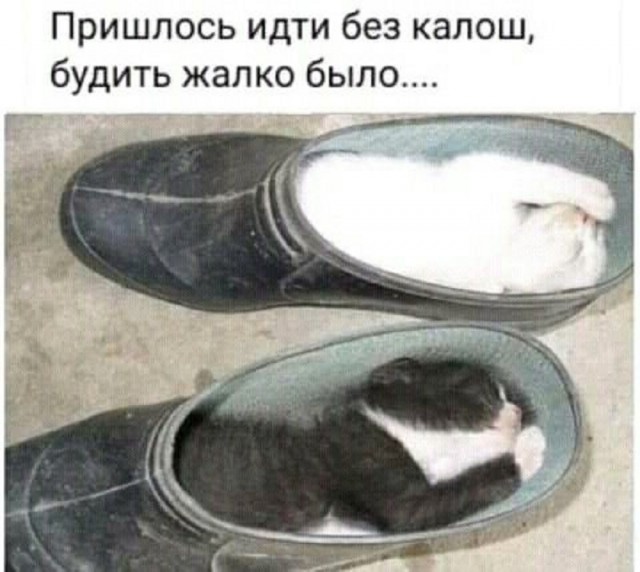 Так себе картинки 16.07.25
