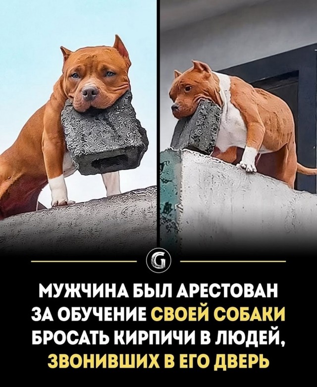 Так себе картинки 18.08.25