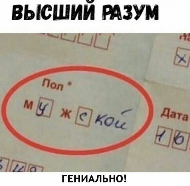 Куча-мала № 5