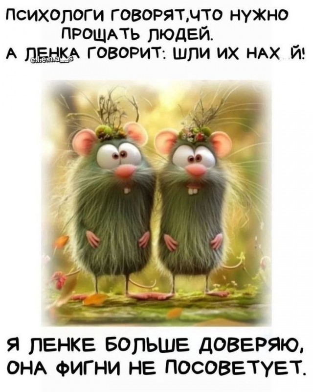 Прикольные и просто красивые картинки 07.11.2025