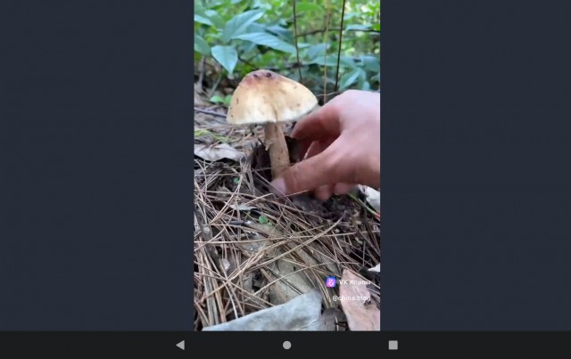 Китайское )