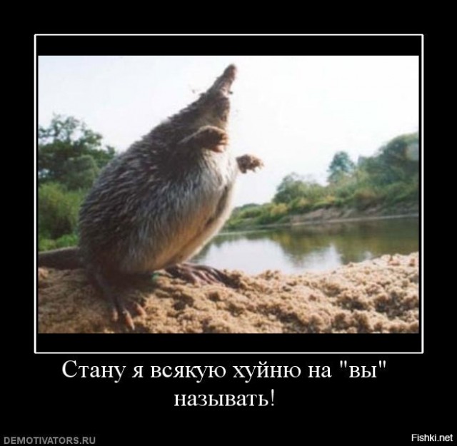 Пиренейская выхухоль: Похож на ошибку эволюции, но это идеальный водный хищник!