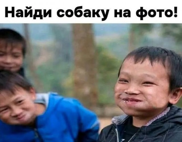 Предновогодние бояны
