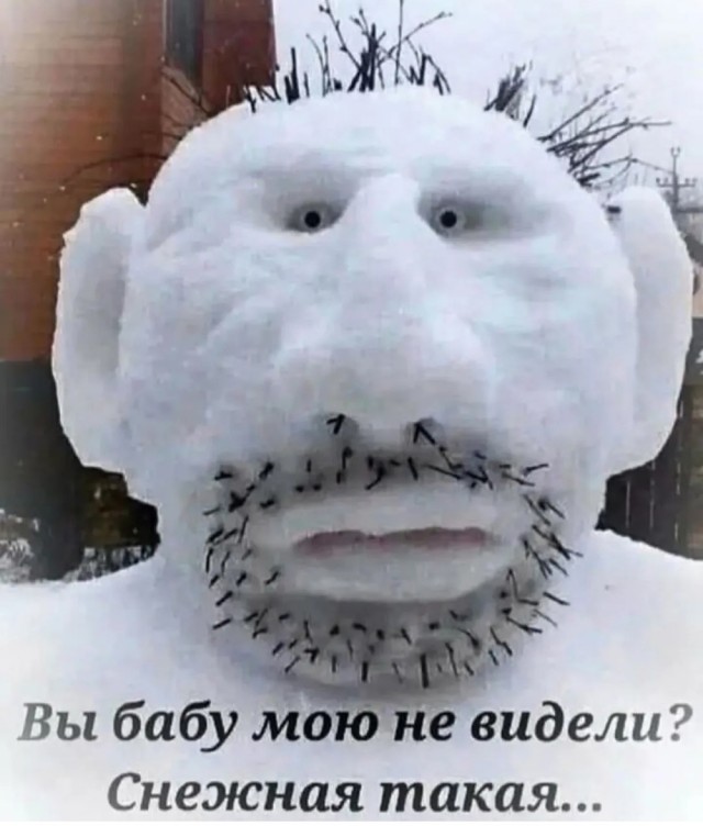Среды картинки