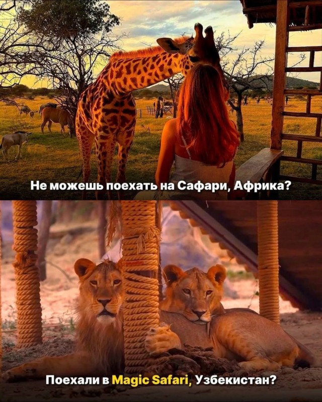 Узбекистан может заменить любую страну во время отпуска
