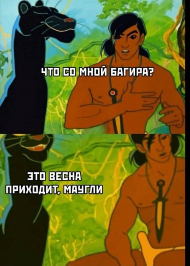 Воскресные картинки