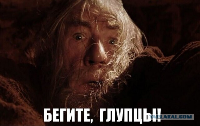 Никакой необходимости в настоящий момент объявлять новую волну мобилизации нет, сообщил Медведев