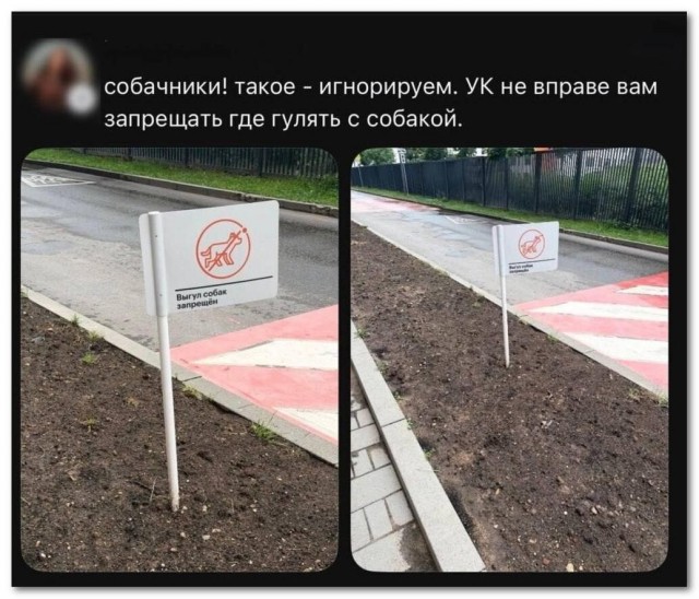 Собачники протестуют против управы