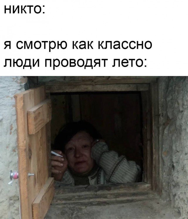 Картинки для деградации 244 (разной степени свежести)