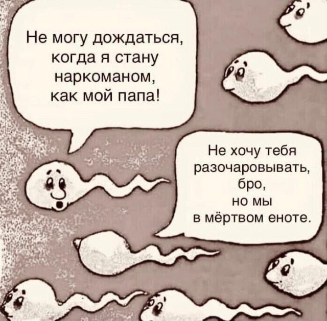 Картинки для деградации 306 (разной степени свежести)