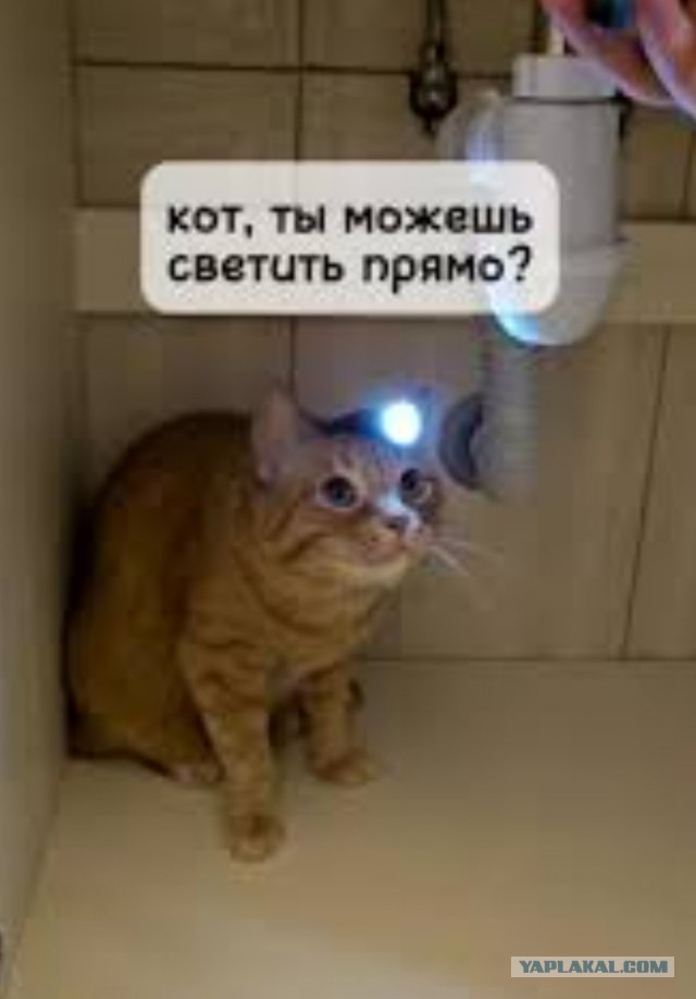 Брак пр расчету