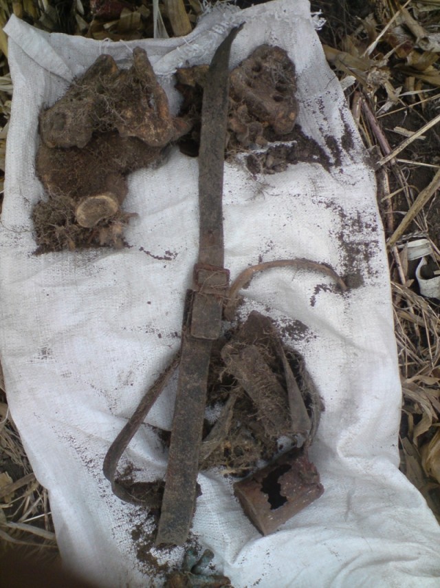 Оржицкая общественная организация Мемориал