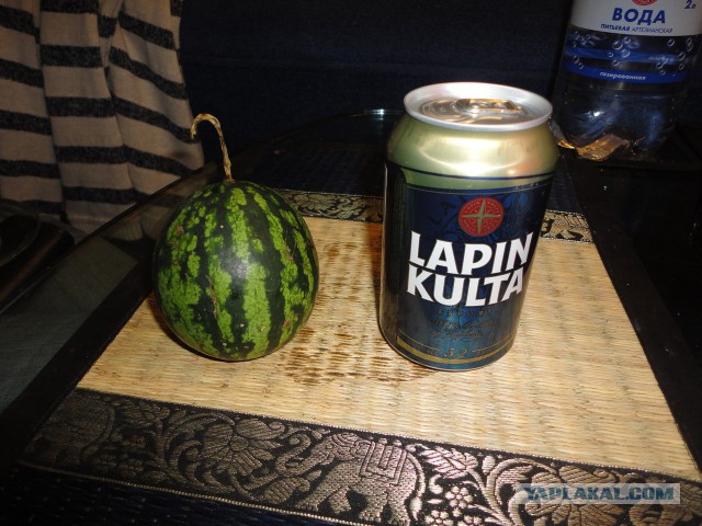 Зато сам вырастил!