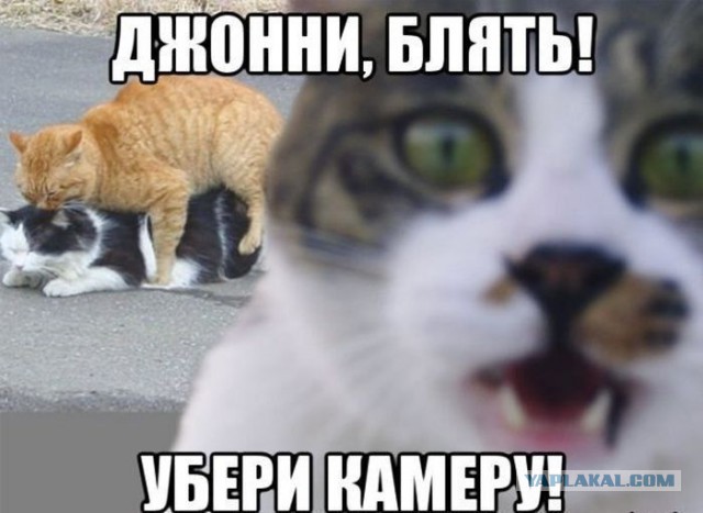 Приколы и маразмы 2