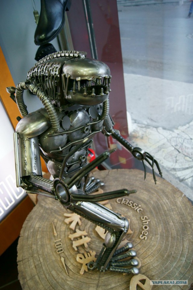 Кот - терминатор