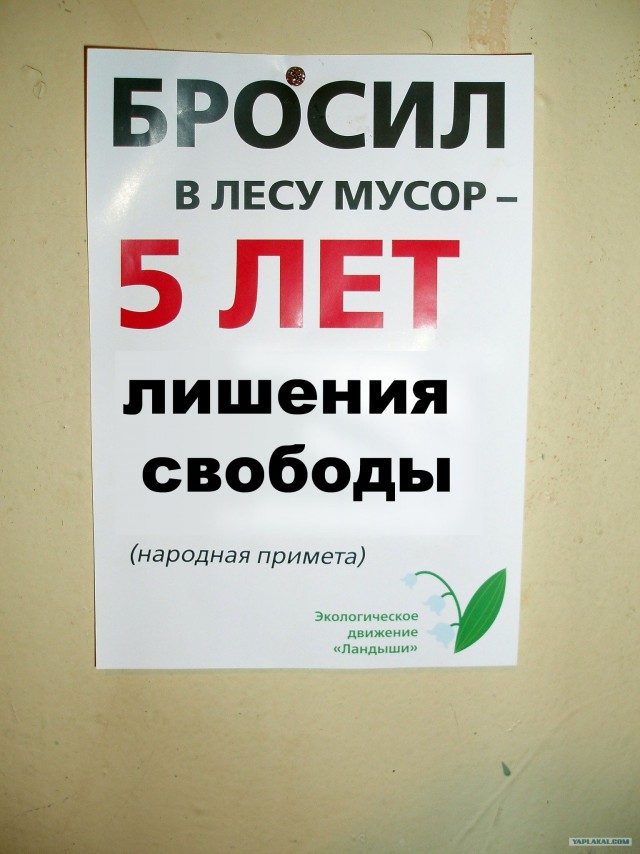 Вот такие "Ландыши"