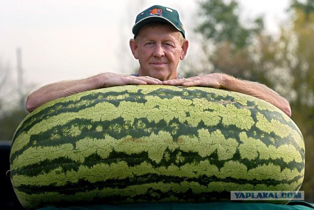 Это как-то слегка настораживает