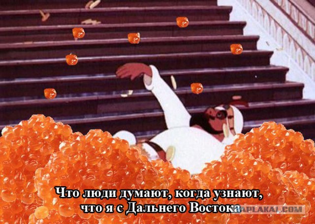 Картинки