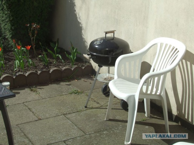 Копченые свиные ребрышки барбекю.